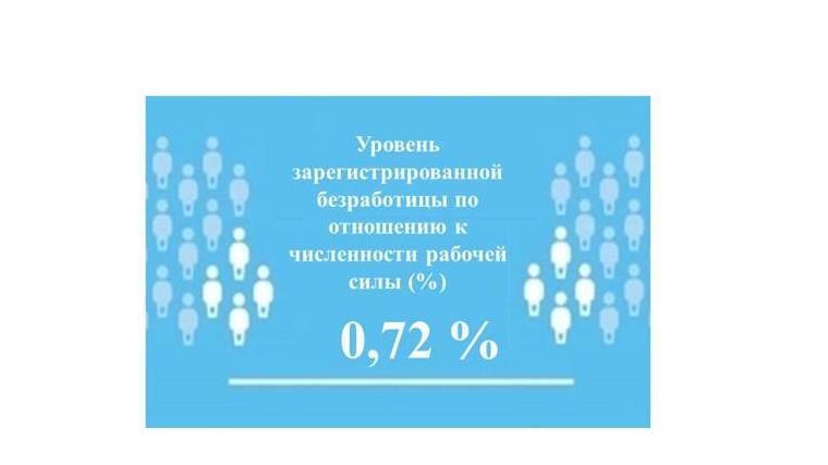 Уровень регистрируемой безработицы в Чувашской Республике составил 0,72%